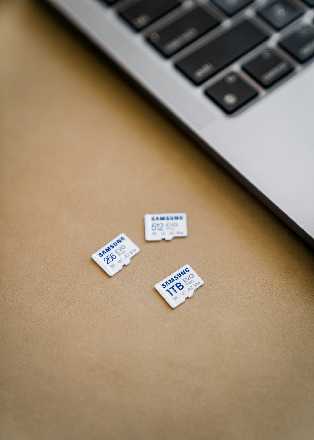 외장 SSD 용량 500GB·1TB·2TB 차이|사진·영상 백업용 고르는 법